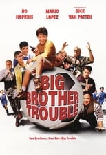 Big Brother Trouble (2000)